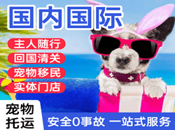兰州机场快递国际宠物托运 【国